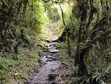 17 Trail Between Bamboo and Dovan On Trek To Annapurna Sanctuary